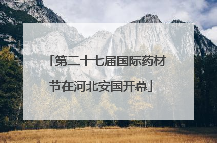 第二十七届国际药材节在河北安国开幕