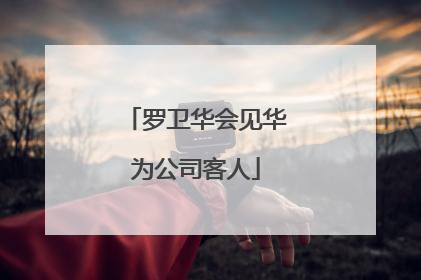 罗卫华会见华为公司客人