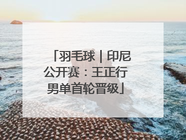 羽毛球｜印尼公开赛：王正行男单首轮晋级