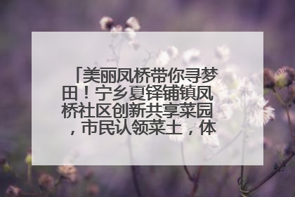 美丽凤桥带你寻梦田！宁乡夏铎铺镇凤桥社区创新共享菜园，市民认领菜土，体验耕种收获乐趣