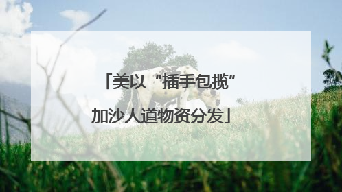 美以“插手包揽”加沙人道物资分发