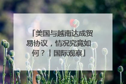 美国与越南达成贸易协议，情况究竟如何？丨国际观察