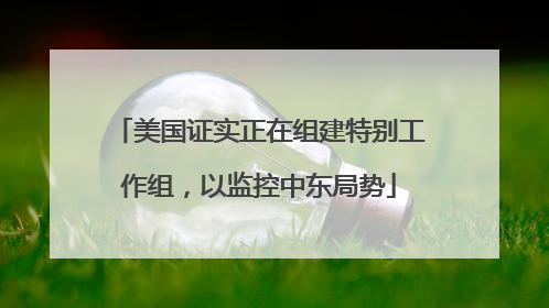 美国证实正在组建特别工作组，以监控中东局势