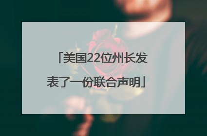 美国22位州长发表了一份联合声明