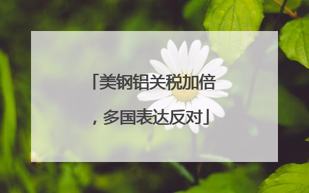 美钢铝关税加倍，多国表达反对