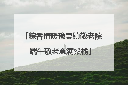 粽香情暖豫灵镇敬老院 端午敬老意满桑榆