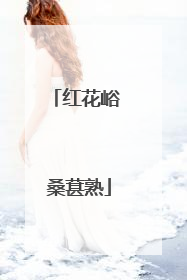 红花峪 桑葚熟