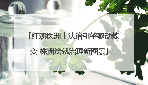 红观株洲丨法治引擎驱动蝶变 株洲绘就治理新图景