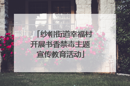 纱帽街道幸福村开展书香禁毒主题宣传教育活动