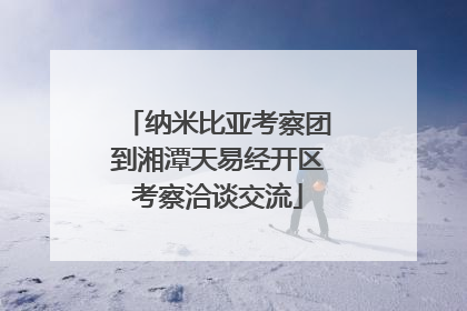 纳米比亚考察团到湘潭天易经开区考察洽谈交流