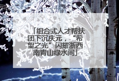 组合式人才帮扶团下沉庆元，“希望之光”闪耀浙西南青山绿水间