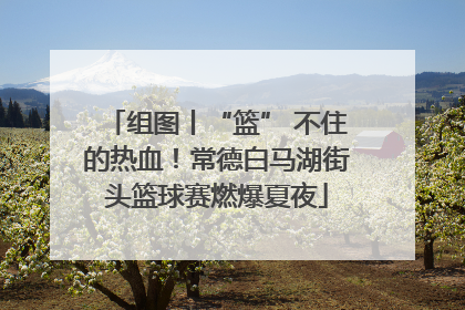组图丨“篮” 不住的热血！常德白马湖街头篮球赛燃爆夏夜