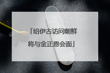 绍伊古访问朝鲜 将与金正恩会面