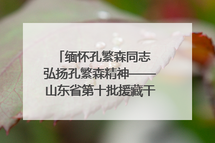 缅怀孔繁森同志 弘扬孔繁森精神——山东省第十批援藏干部人才清明节前到岗巴县开展党性教育