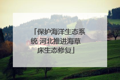 保护海洋生态系统 河北推进海草床生态修复