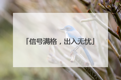 信号满格，出入无忧
