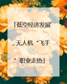 低空经济发展，无人机“飞手”职业走热