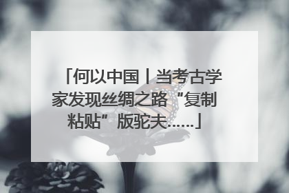 何以中国丨当考古学家发现丝绸之路“复制粘贴”版驼夫……