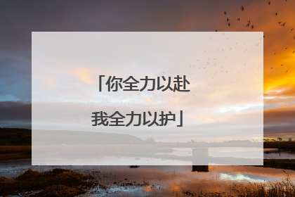 你全力以赴 我全力以护