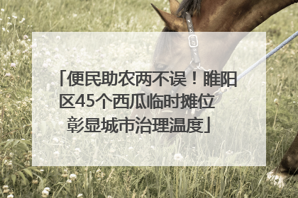 便民助农两不误！睢阳区45个西瓜临时摊位 彰显城市治理温度