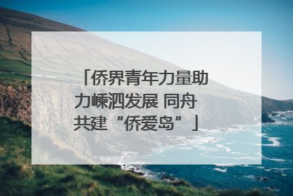 侨界青年力量助力嵊泗发展 同舟共建“侨爱岛”