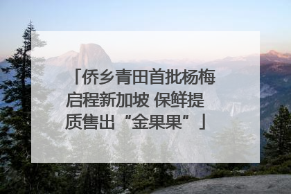 侨乡青田首批杨梅启程新加坡 保鲜提质售出“金果果”