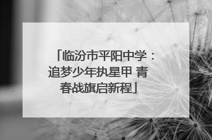 临汾市平阳中学：追梦少年执星甲 青春战旗启新程