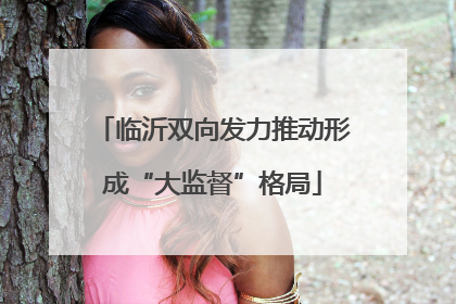临沂双向发力推动形成“大监督”格局