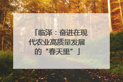 临泽：奋进在现代农业高质量发展的“春天里”