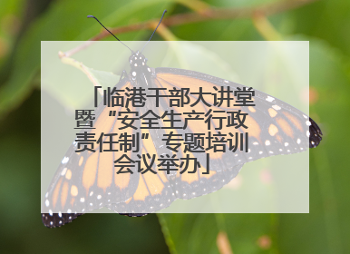 临港干部大讲堂暨“安全生产行政责任制”专题培训会议举办