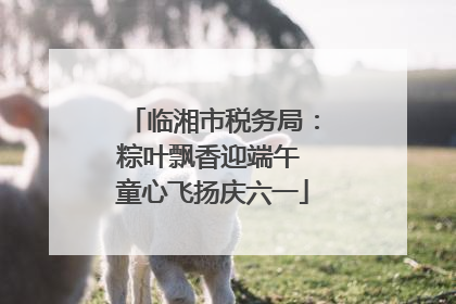 临湘市税务局：粽叶飘香迎端午 童心飞扬庆六一