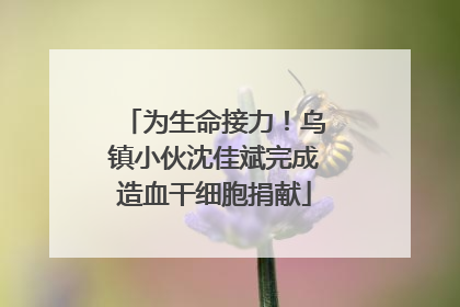 为生命接力！乌镇小伙沈佳斌完成造血干细胞捐献