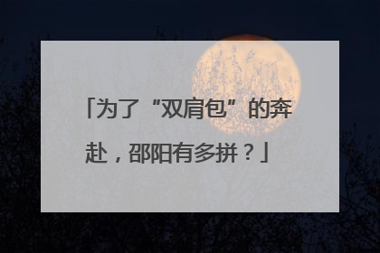 为了“双肩包”的奔赴，邵阳有多拼？