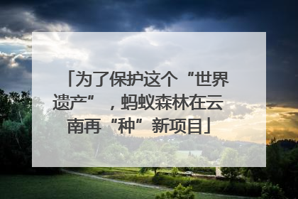 为了保护这个“世界遗产”，蚂蚁森林在云南再“种”新项目