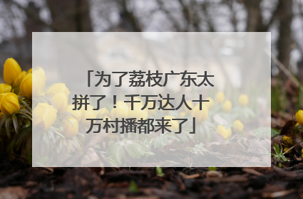 为了荔枝广东太拼了！千万达人十万村播都来了