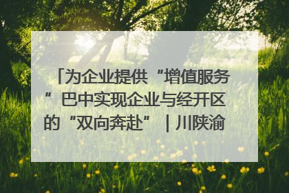 为企业提供“增值服务”巴中实现企业与经开区的“双向奔赴”｜川陕渝网络名人巴中行