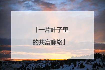 一片叶子里的共富脉络