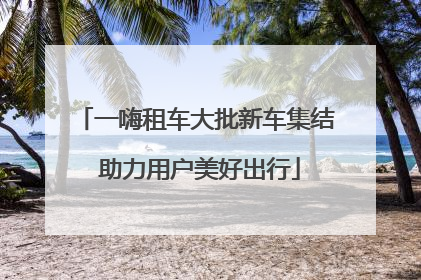 一嗨租车大批新车集结 助力用户美好出行
