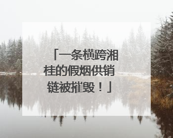 一条横跨湘桂的假烟供销链被摧毁！