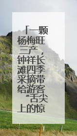 一颗杨梅旺三产，钟祥长滩四季采摘带给游客“舌尖上的惊喜”