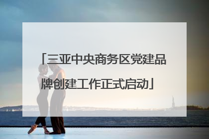三亚中央商务区党建品牌创建工作正式启动