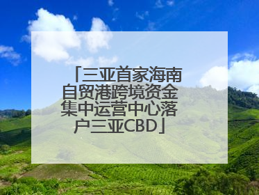 三亚首家海南自贸港跨境资金集中运营中心落户三亚CBD