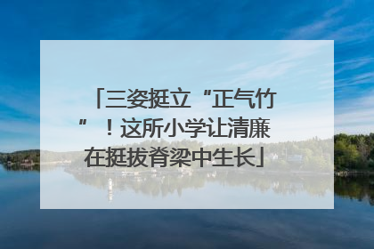 三姿挺立“正气竹”！这所小学让清廉在挺拔脊梁中生长
