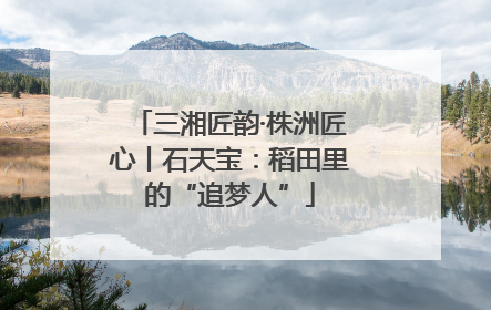 三湘匠韵·株洲匠心丨石天宝：稻田里的“追梦人”