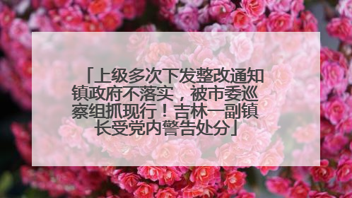 上级多次下发整改通知镇政府不落实，被市委巡察组抓现行！吉林一副镇长受党内警告处分