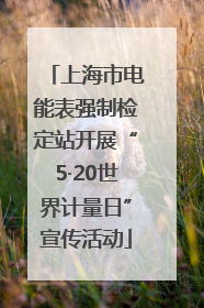 上海市电能表强制检定站开展“5·20世界计量日”宣传活动