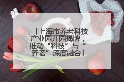 上海市养老科技产业园开园揭牌，推动“科技”与“养老”深度融合