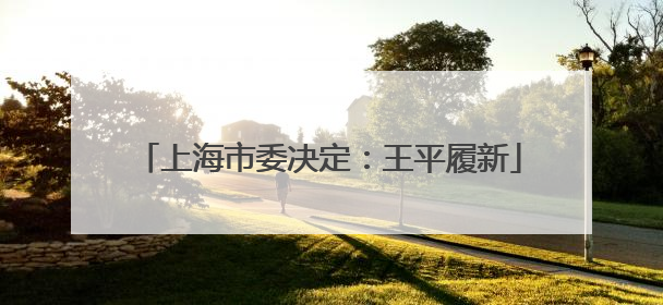 上海市委决定：王平履新