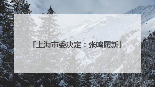 上海市委决定：张鸣履新