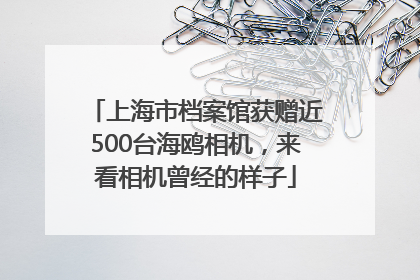 上海市档案馆获赠近500台海鸥相机，来看相机曾经的样子